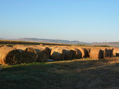 Foto Dupa seceris (c) Lucian Petru Goja